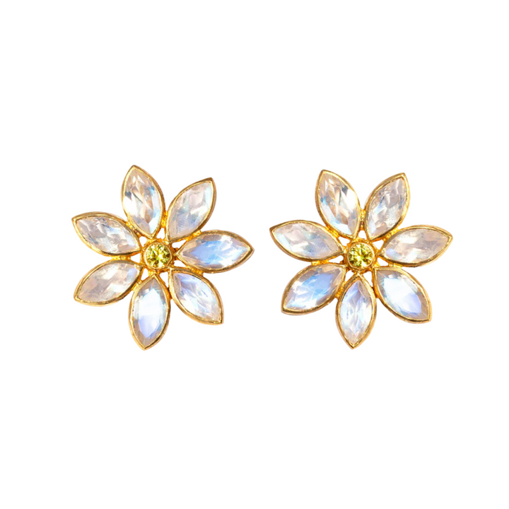 MARIE-HELENE DE TAILLAC EARRINGS
