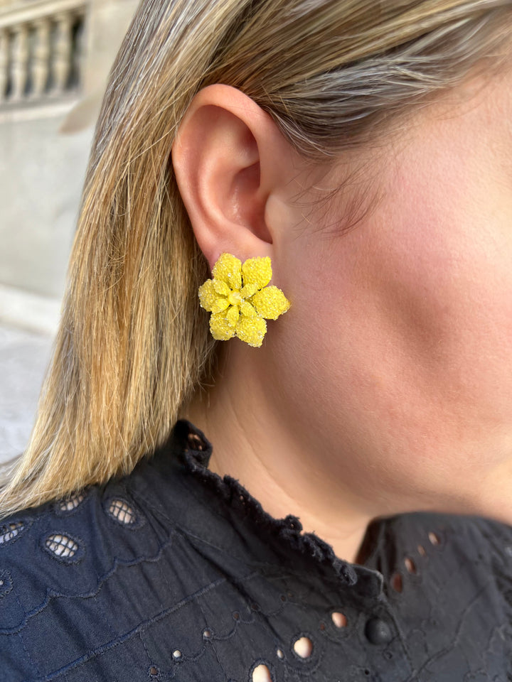 DUBLOS EARRINGS